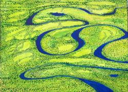 "Okavango"