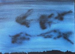 “In Noord-Holland”