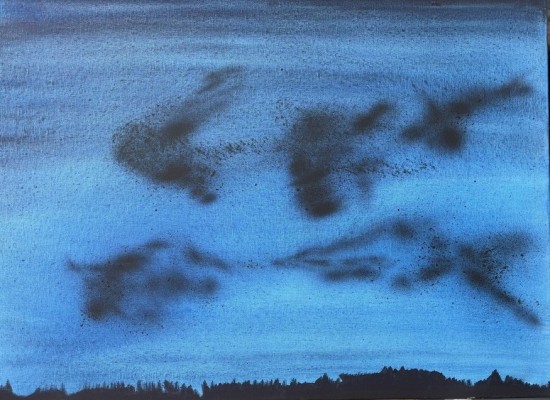 “In Noord-Holland”