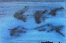 “In Noord-Holland”